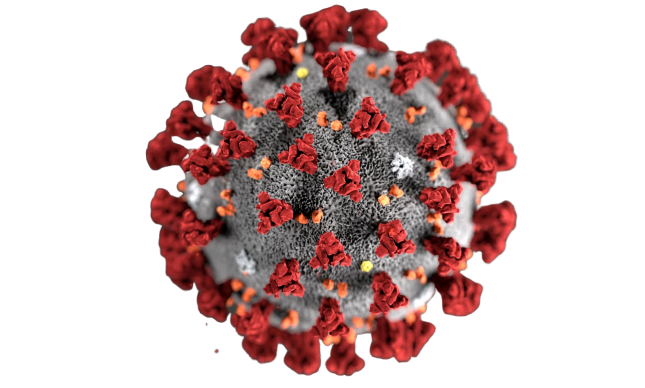 COVID-19 CORONAVIRUS PREPAREDNESS